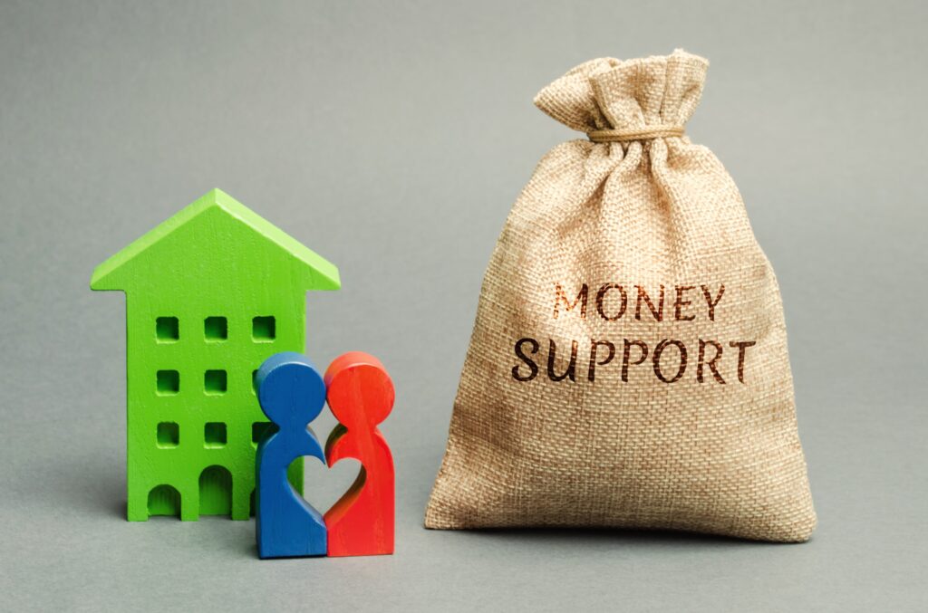 A Comprehensive Guide to Government Assistance Programs | All Insight